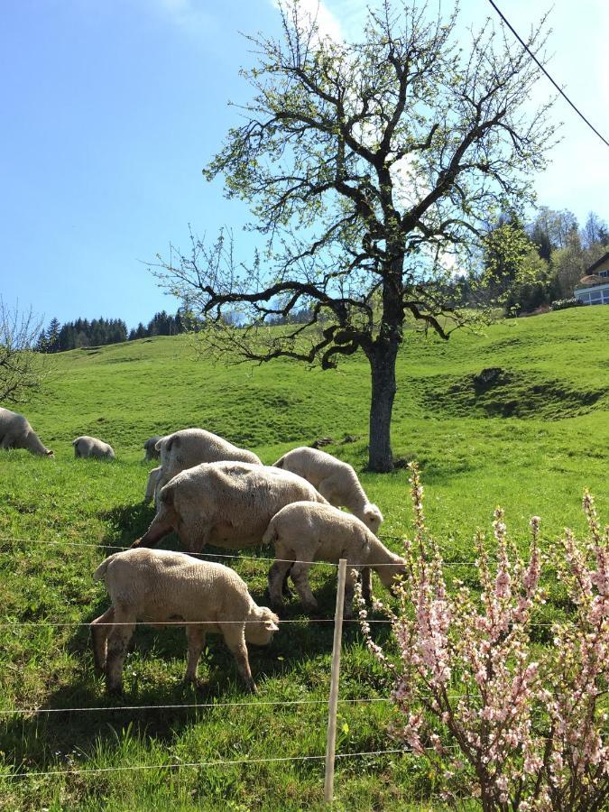 Mountain Peace In The Heart Of Switzerland Appartement Emmetten Buitenkant foto