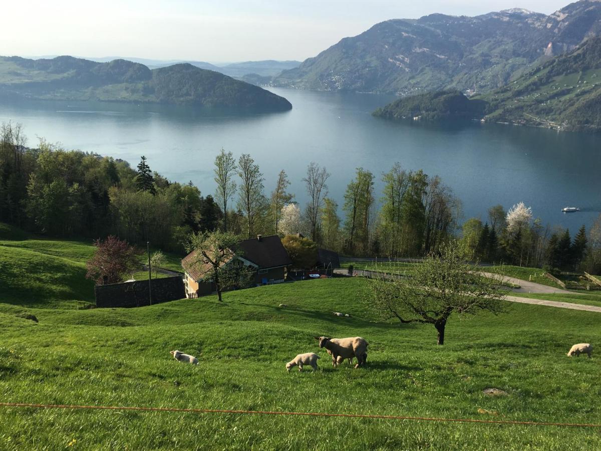 Mountain Peace In The Heart Of Switzerland Appartement Emmetten Buitenkant foto