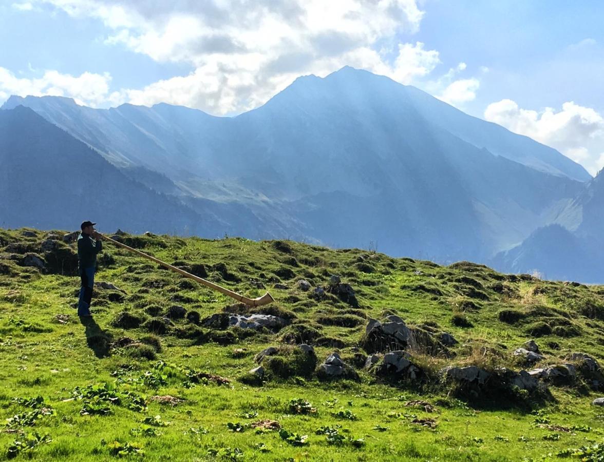 Mountain Peace In The Heart Of Switzerland Appartement Emmetten Buitenkant foto